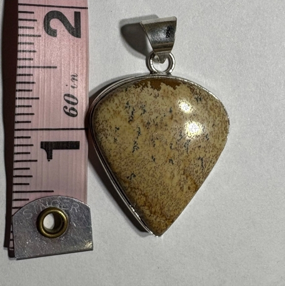 Jewelry - Jasper Pendant- NWOT
